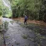 SÃO SEBASTIÃO: VENTOS FORTES MOBILIZAM EQUIPES