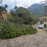 SÃO SEBASTIÃO: TEMPORAL DEIXA RASTROS PROFUNDOS