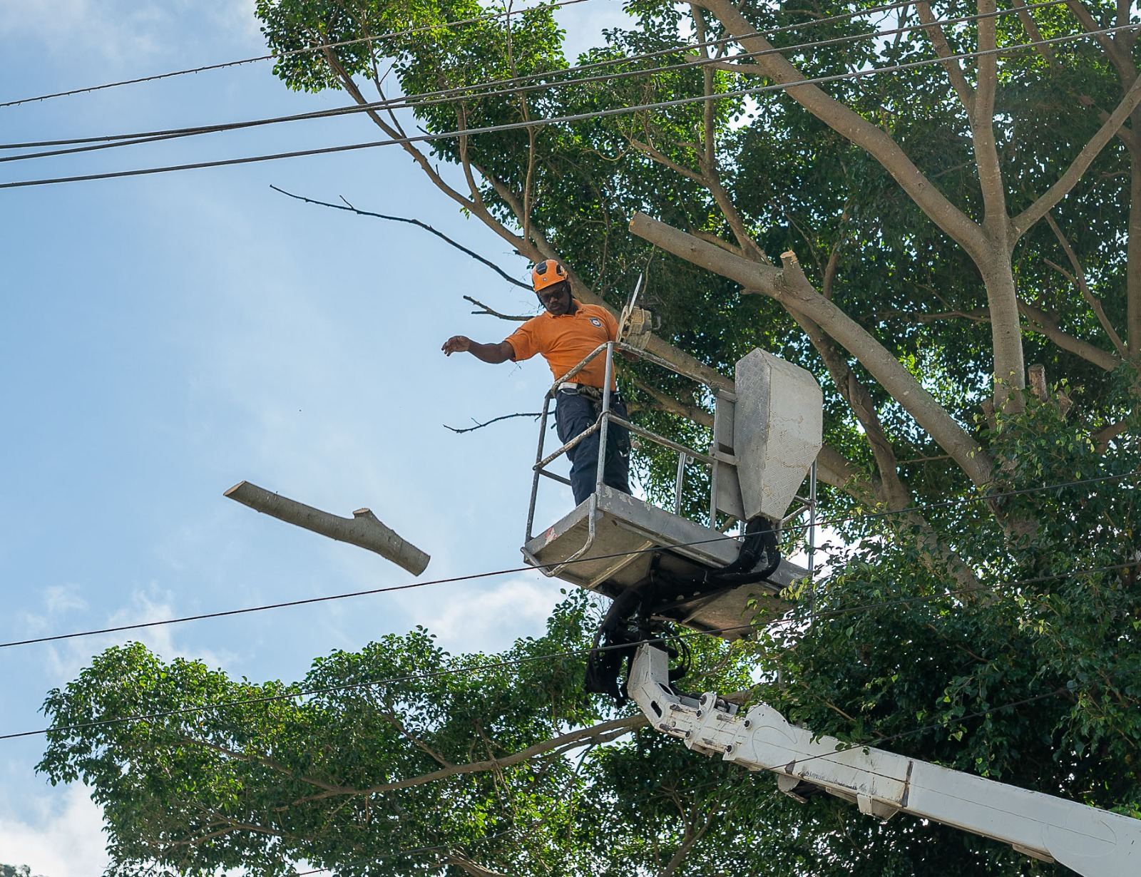 🌧️ Defesa Civil de São Sebastião atende mais de 140...